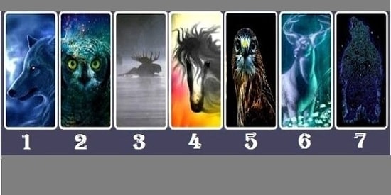 Выбери дух животного и узнай свое истинное "я"