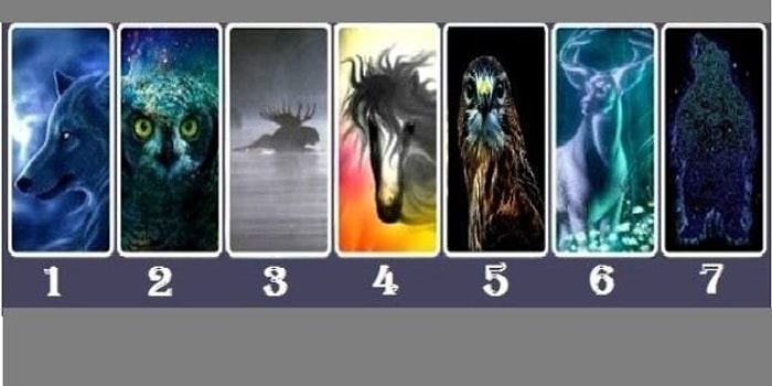Выбери дух животного и узнай свое истинное "я"