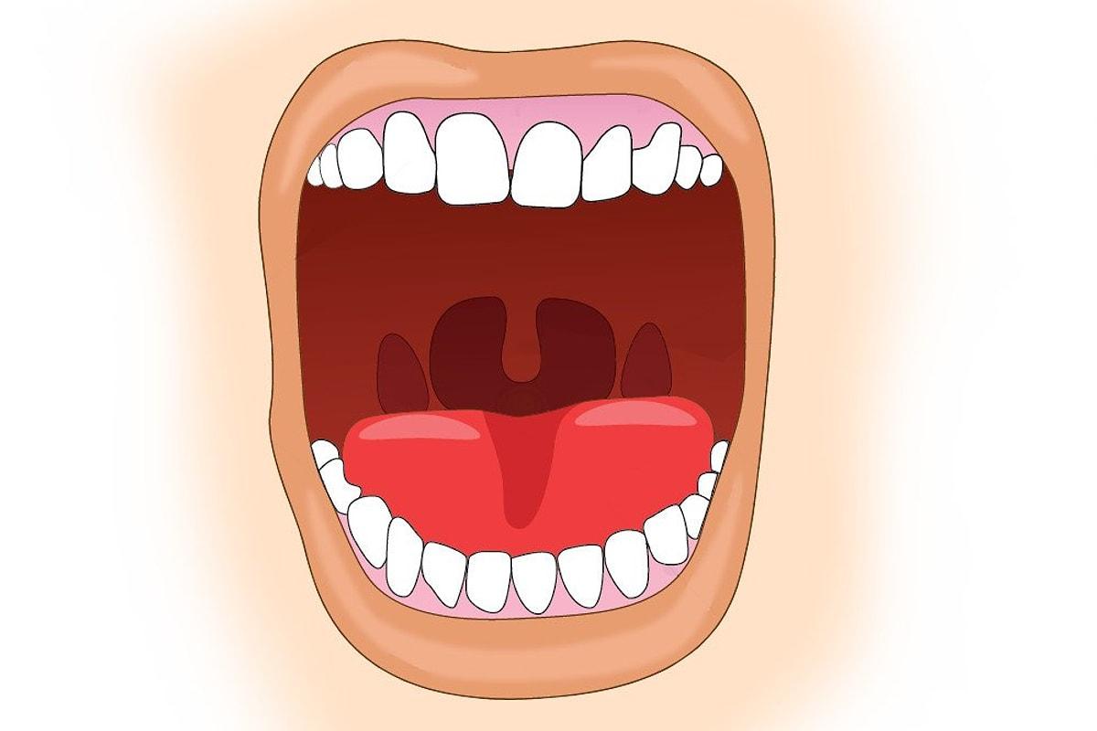Открытый рот с зубами