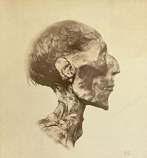 Также появилась некоторая информация о мумии, которая реставрировалась французскими экспертами.