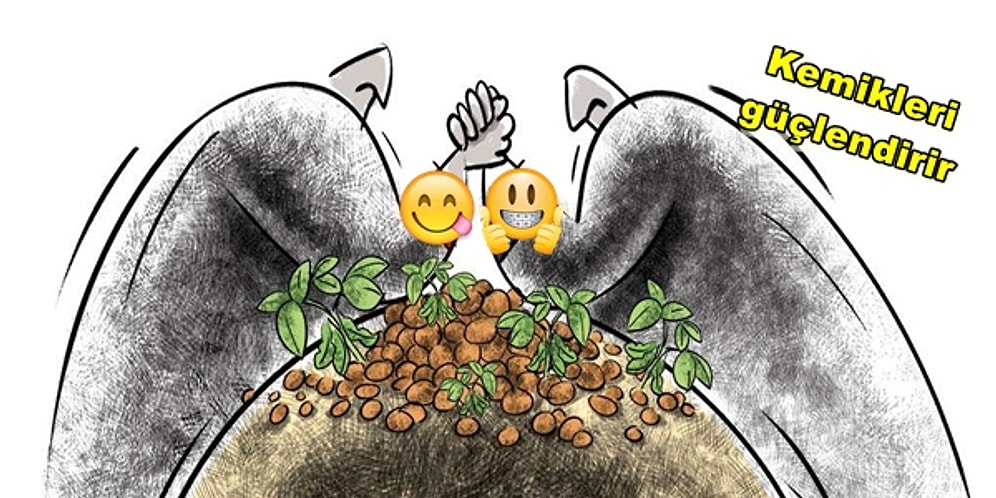 Çin Uygarlıklarında Kutsal Sayılan Soya Fasulyesini Mutlaka Tüketmeniz İçin Geçerli 11 Neden