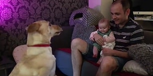 Köpek Verilen Komutlara Uydukça Keyiften Dört Köşe Olan Bebek