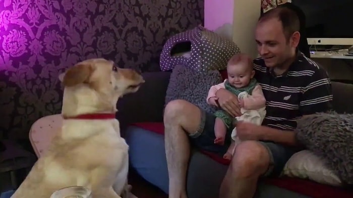 Köpek Verilen Komutlara Uydukça Keyiften Dört Köşe Olan Bebek