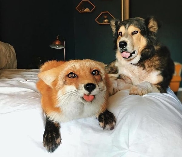 2. И их не волнует, что еще кто-то рядом хочет тоже отдохнуть.