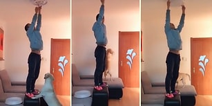 Böyle Çırağa Can Kurban! İnsan Dostu Ampul Değiştirirken Çıraklık Yapan Köpek