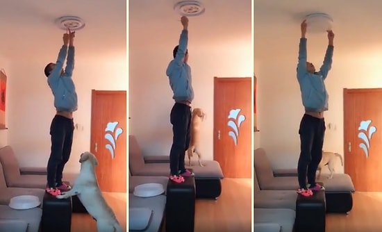 Böyle Çırağa Can Kurban! İnsan Dostu Ampul Değiştirirken Çıraklık Yapan Köpek