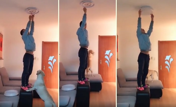 Böyle Çırağa Can Kurban! İnsan Dostu Ampul Değiştirirken Çıraklık Yapan Köpek