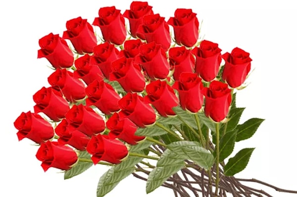 6. Что насчет роз?