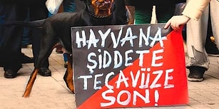 Hayvana Vahşet Bitmiyor: Tekirdağ'da Bir Köpeğe Tecavüz Edildi ve Öldürüldü İddiası