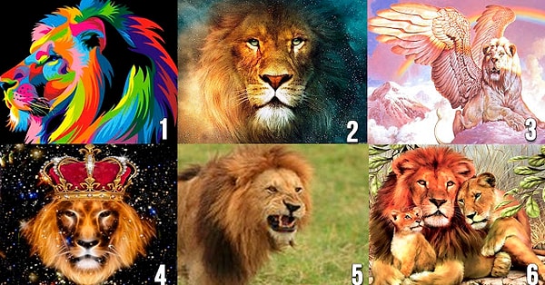 Итак, задача до безобразия простая: выберите льва, который вам наиболее симпатичен.
