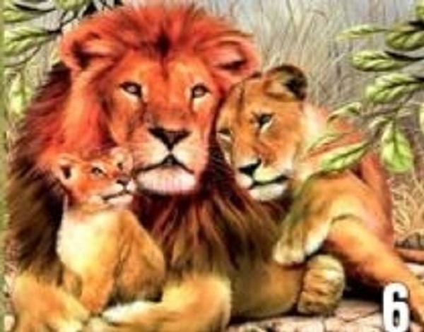 Лев-семьянин