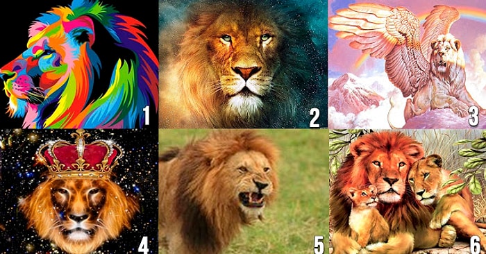 Выберите льва и узнайте, какой мужчина вам нужен