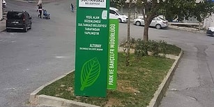 Sosyal Medyanın Gündemi: Sultangazi Belediyesi'nin 'Takdire Şayan' Yeşil Alan Sevgisi