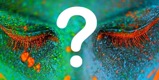 Тест: Какими глазами вы воспринимаете этот мир?