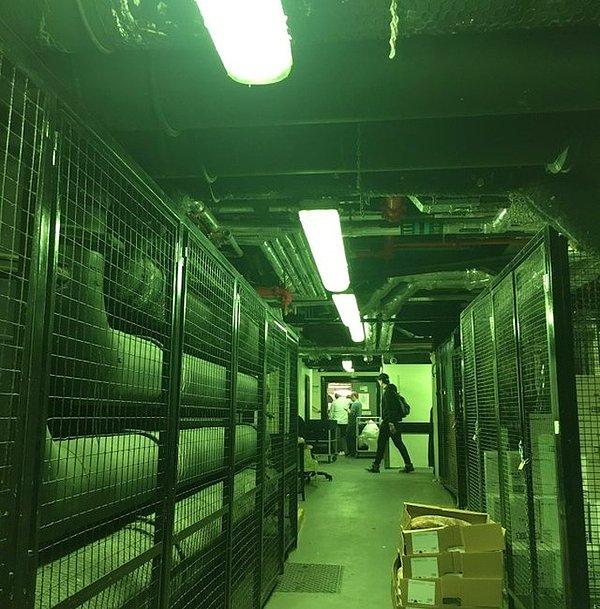 11. "Çalıştığım yerdeki lambalar biraz yeşili andırıyor ve koridorun diğer ucundaki insanlar uzaylı filminde gibi duruyor."
