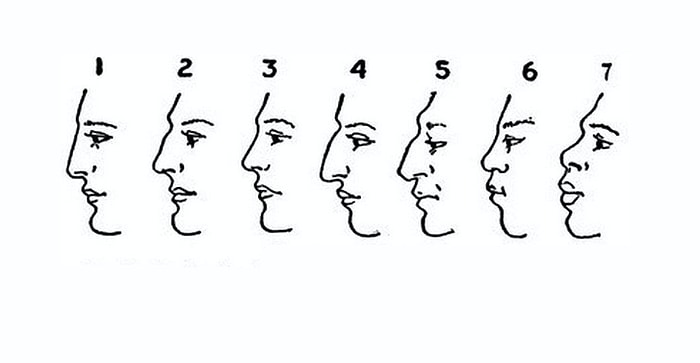 Тест: Выберите свою форму носа и узнайте, кем были ваши предки