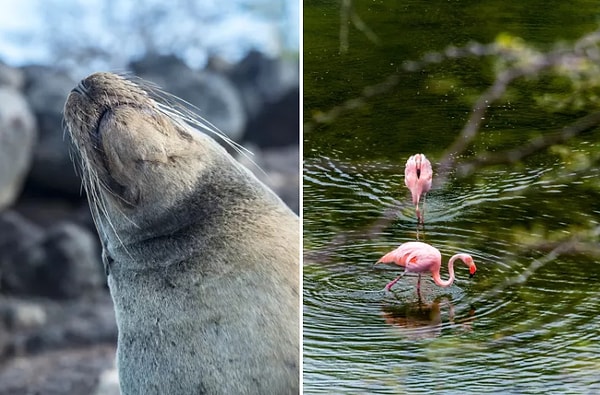 3. Галапагос, Эквадор