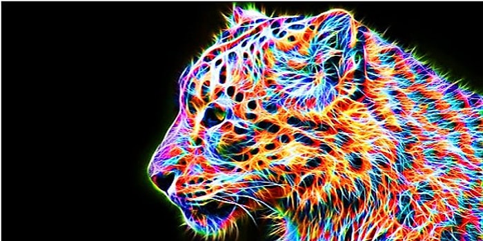 Тест: Какой цвет соответствует вашей личности?