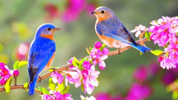 1. Если готовы, начнем. Какой цвет привлек ваше внимание?