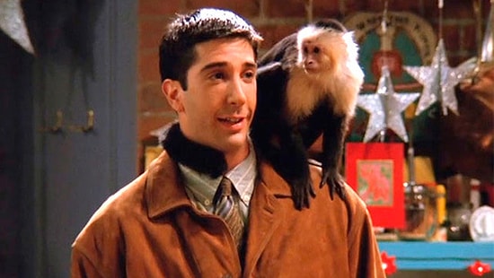 Тест😻: Какое животное станет лучшим другом для вас?