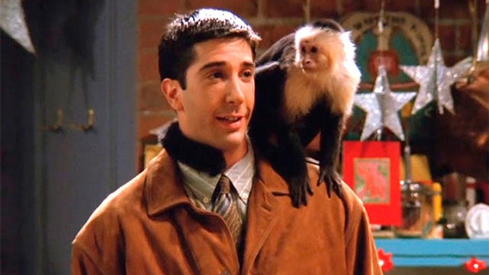 Тест😻: Какое животное станет лучшим другом для вас?