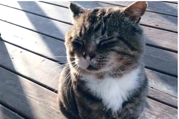 1. Довольны ли вы тем, чего вы добились на данный момент жизни?