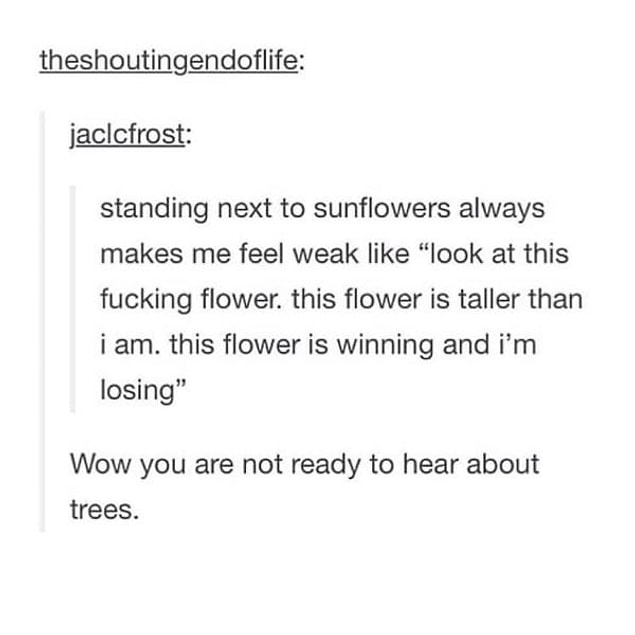 9. Wait till you meet a tree.