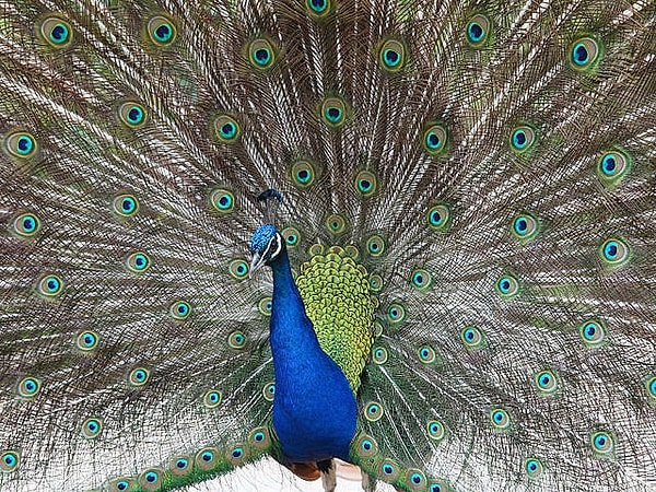 Уверенность!