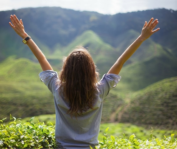 Понимание и воля