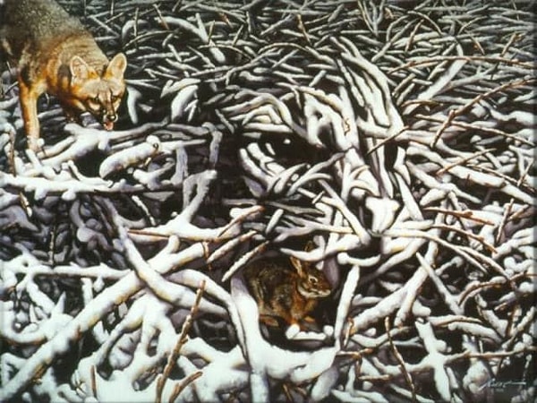 1. Лиса ведёт охоту и даже не подозревает, что кроме зайца здесь есть ещё кто-то. А кого увидели вы?