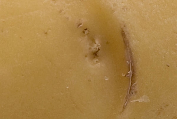 1. Присмотритесь внимательно. Какой овощ/фрукт изображен на этой картинке?