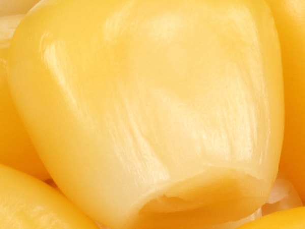 11. Что изображено на фото внизу?