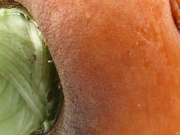 15. Что думаете насчет этого изображения?