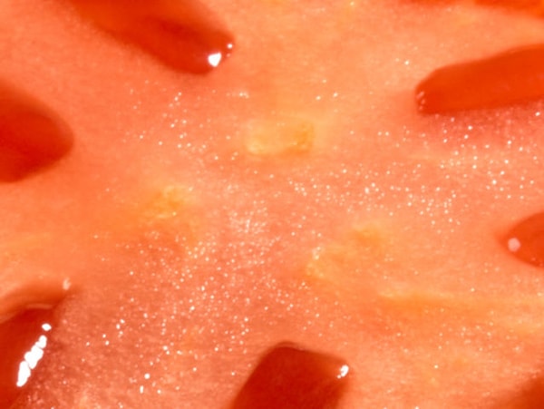 17. Устали? Последний вопрос: что это?!