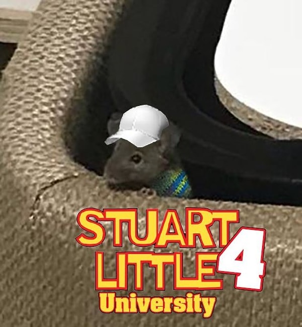 3. "Стюарт Литтл 4"