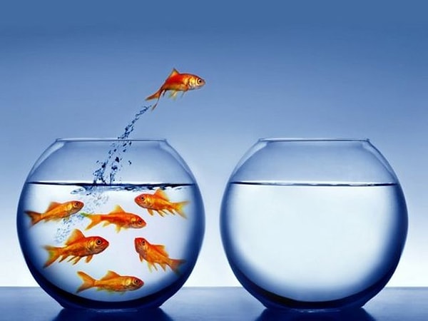 1. Большую часть времени вы экстраверт или интроверт?