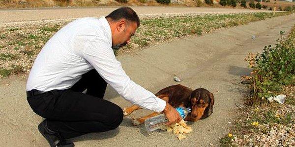5. Aracıyla köpeğe çarpan Sedat Sevil, hayvanı terk edip yoluna devam eden çoğunluktan olmadı ve veteriner gelinceye kadar köpekle ilgilendi.