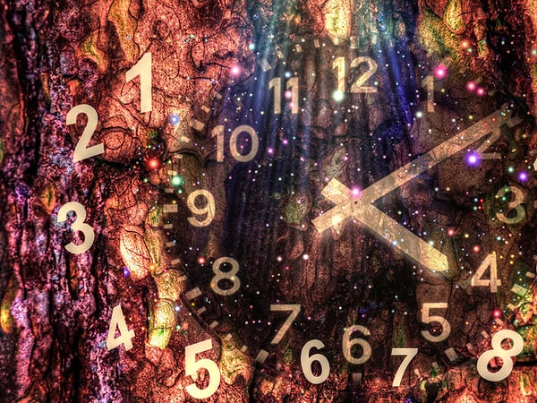 6. Выберите число: