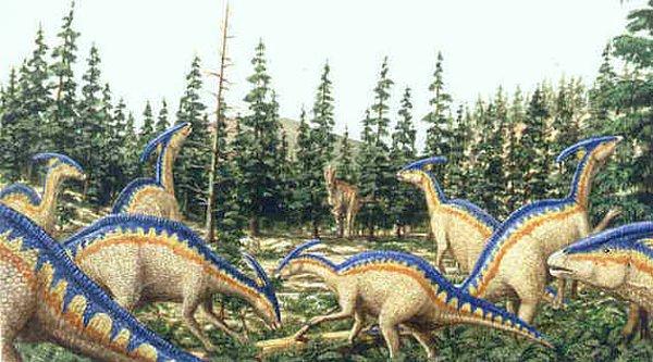 6. Çam kozalakları yaklaşık altmış milyon yıl önce Parasaurolophus'un favori yemeğiydi