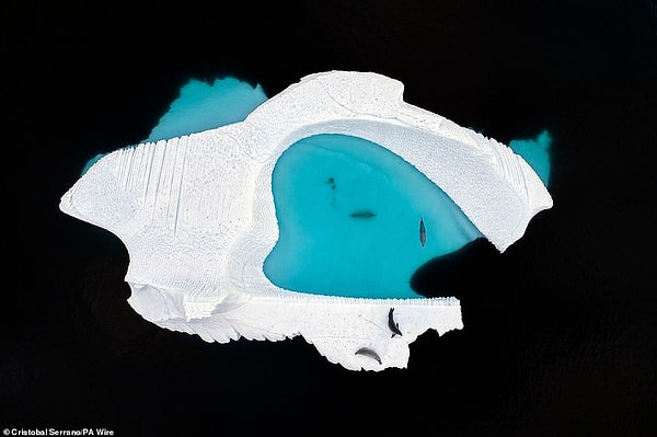 10. «Ледяной бассейн», фотограф: Кристобаль Серрано, Испания. Победитель в категории «Креативные видения».