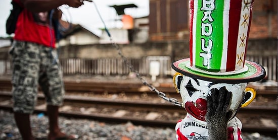 Объявлены победители фотоконкурса «Wildlife Photographer of the Year 2018»