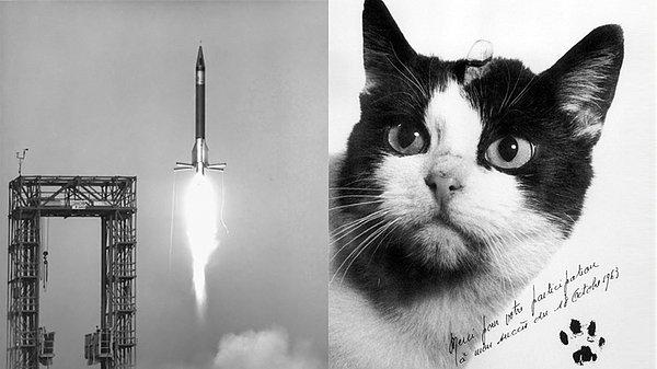 9. 1963 yılında ise ilk kez bir kedi uzaya gönderildi. Felix isimli bu kedi döndükten sonra zamanın en meşhur kedisi oldu.