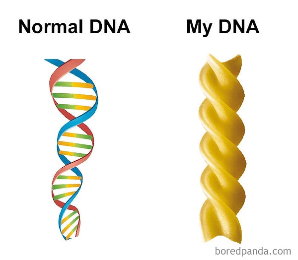 16. Нормальная ДНК / Моя ДНК