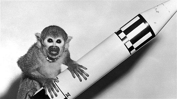 4. 1958 yılında adı Gordo olan minik bir 'sincap maymunu' uzayın bir diğer ziyaretçisiydi.