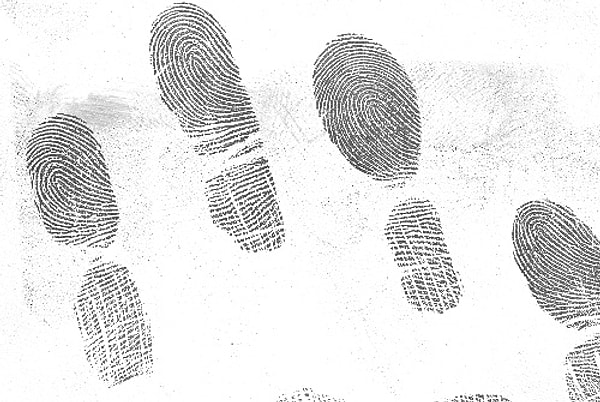 7. Кто, кроме людей, имеет уникальные отпечатки пальцев?