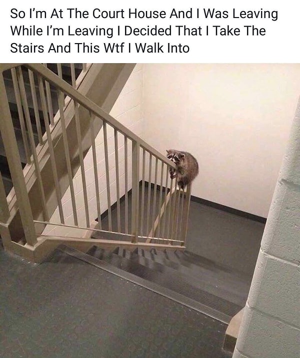 4. Бедняга отбывает срок за неправильную парковку.