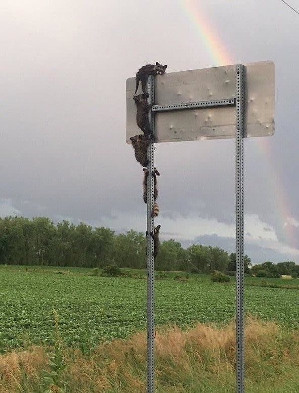 15. Наверху лучшие места!