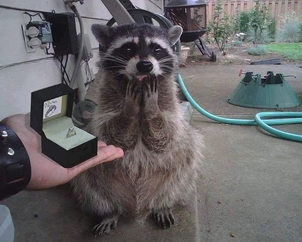 17. Ооо, конечно, ДА!