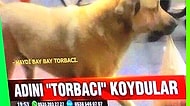Dört Tarafı Manyakla Çevrili Ülkemizin Televizyonundan 14 Beyin Yakan Enstantane