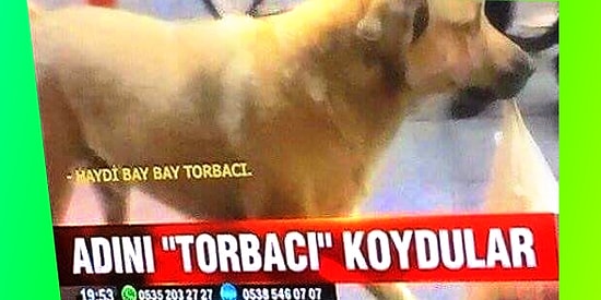 Dört Tarafı Manyakla Çevrili Ülkemizin Televizyonundan 14 Beyin Yakan Enstantane